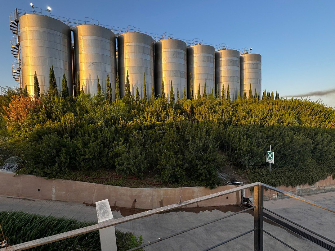 Mandrarossa Winery-Menfi必去景点