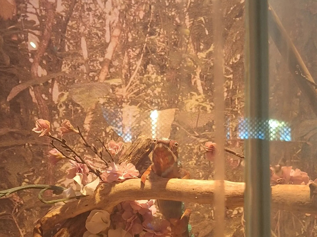 Corfu Aquarium景点图片