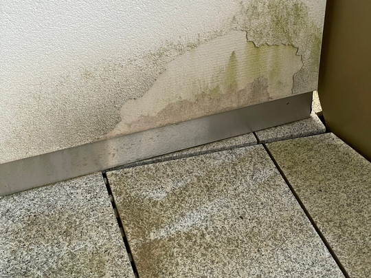 达沃斯洲际酒店主图