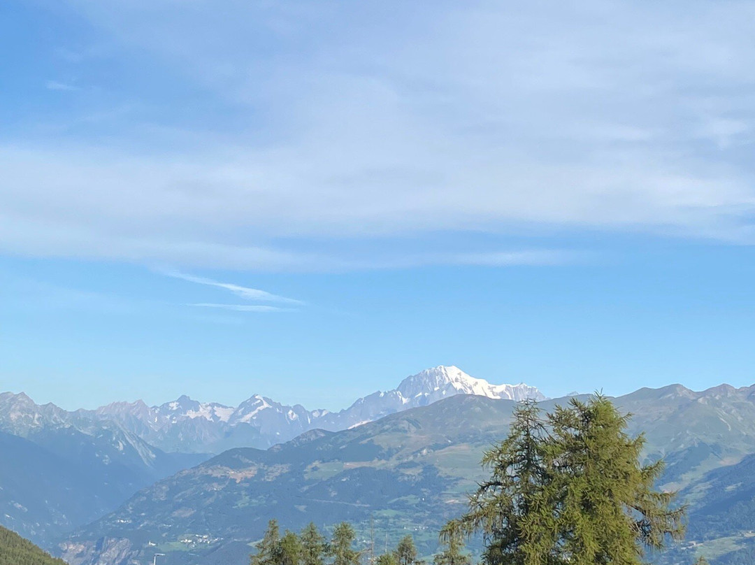 Hotel Chalet des Alpes主图