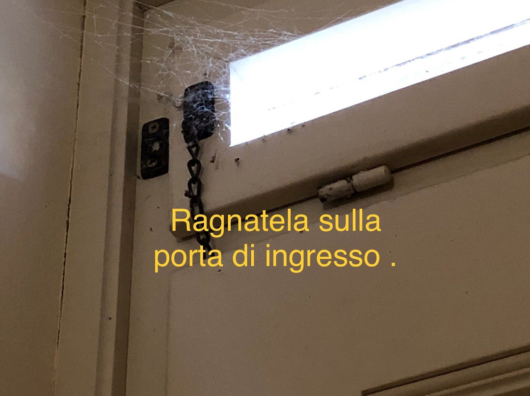 Bed & Breakfast Palazzo Mantegna主图