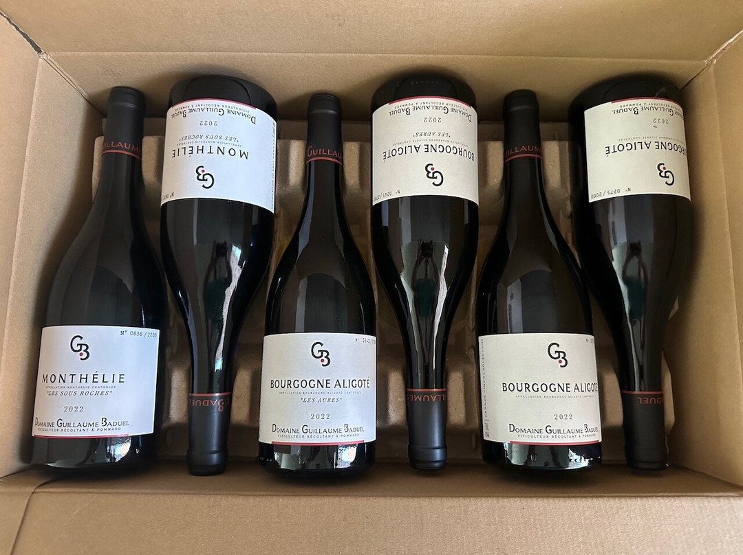 Domaine Baduel Guillaume景点图片