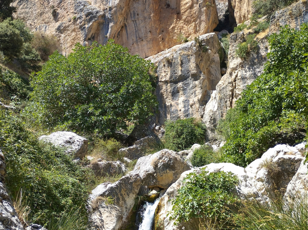 Sendero Cerrada de la Magdalena-Castril De La Pena必去景点