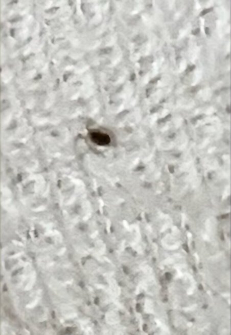 Quality Inn & Suites Omaha Chalco-官方