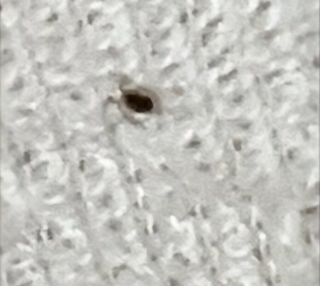 Quality Inn & Suites Omaha Chalco主图