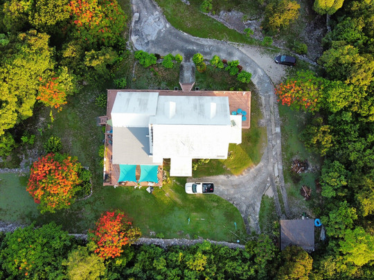 Turtles Nest Bahamas主图