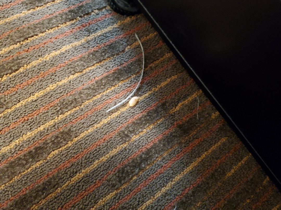 Thunderbird Lodge主图