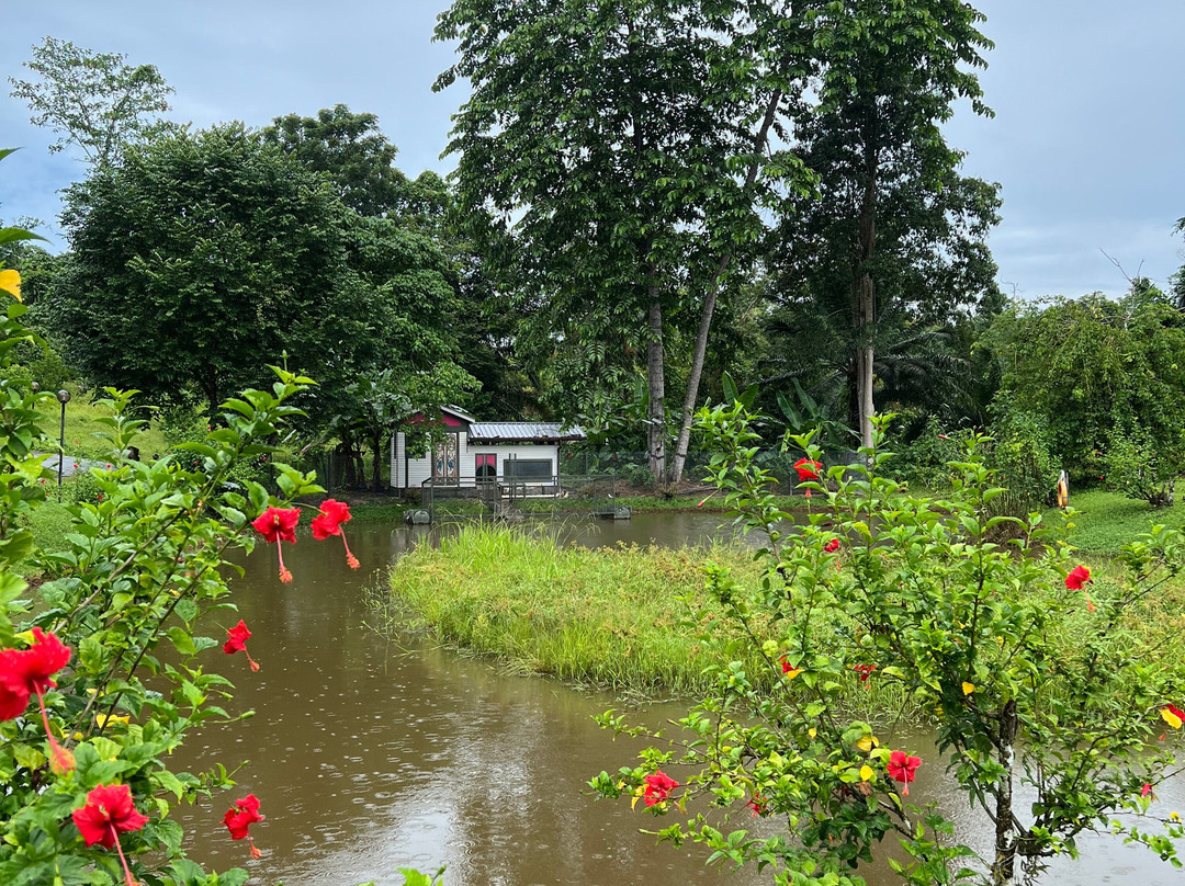 Sepilok Forest Edge Resort主图