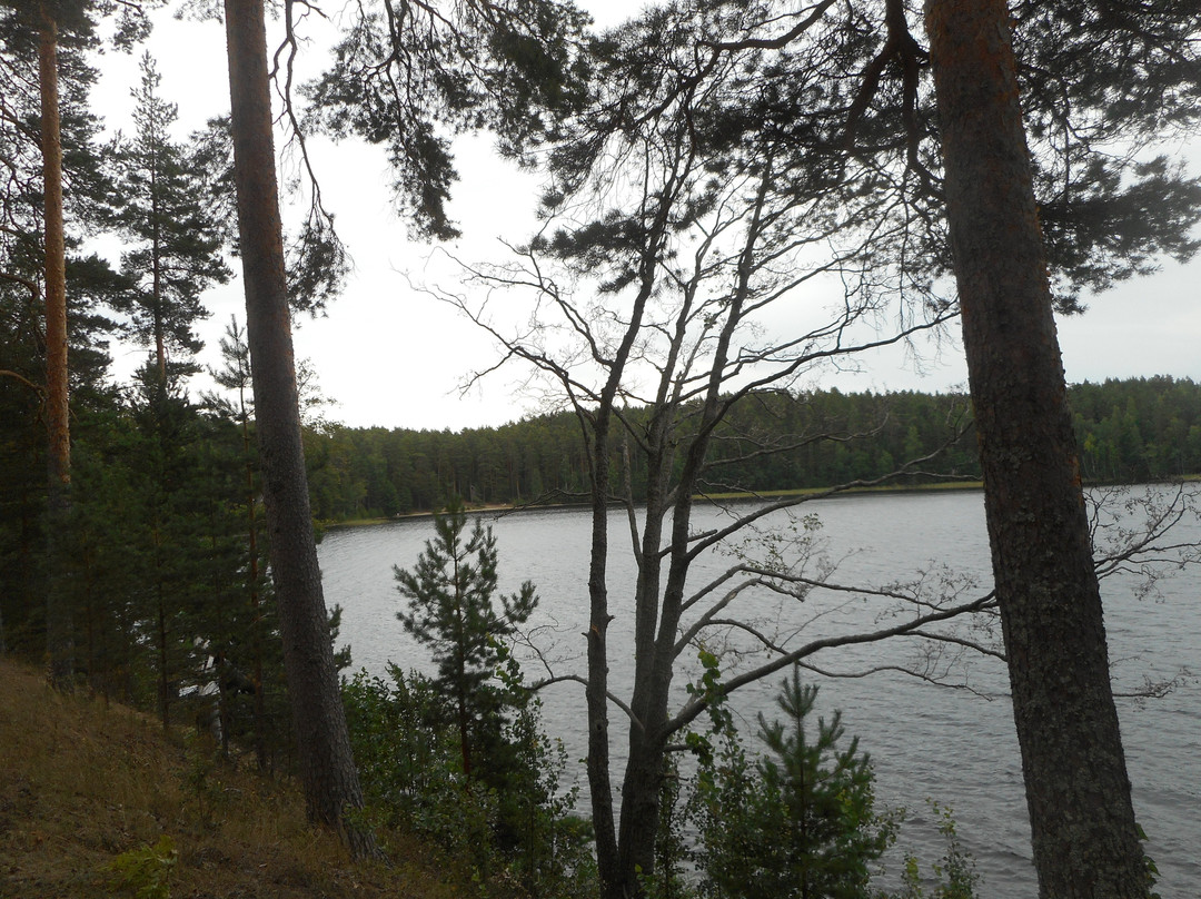 Punkaharju Ridge-Punkaharju必去景点