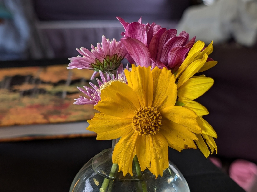 Whistle Stop B & B主图