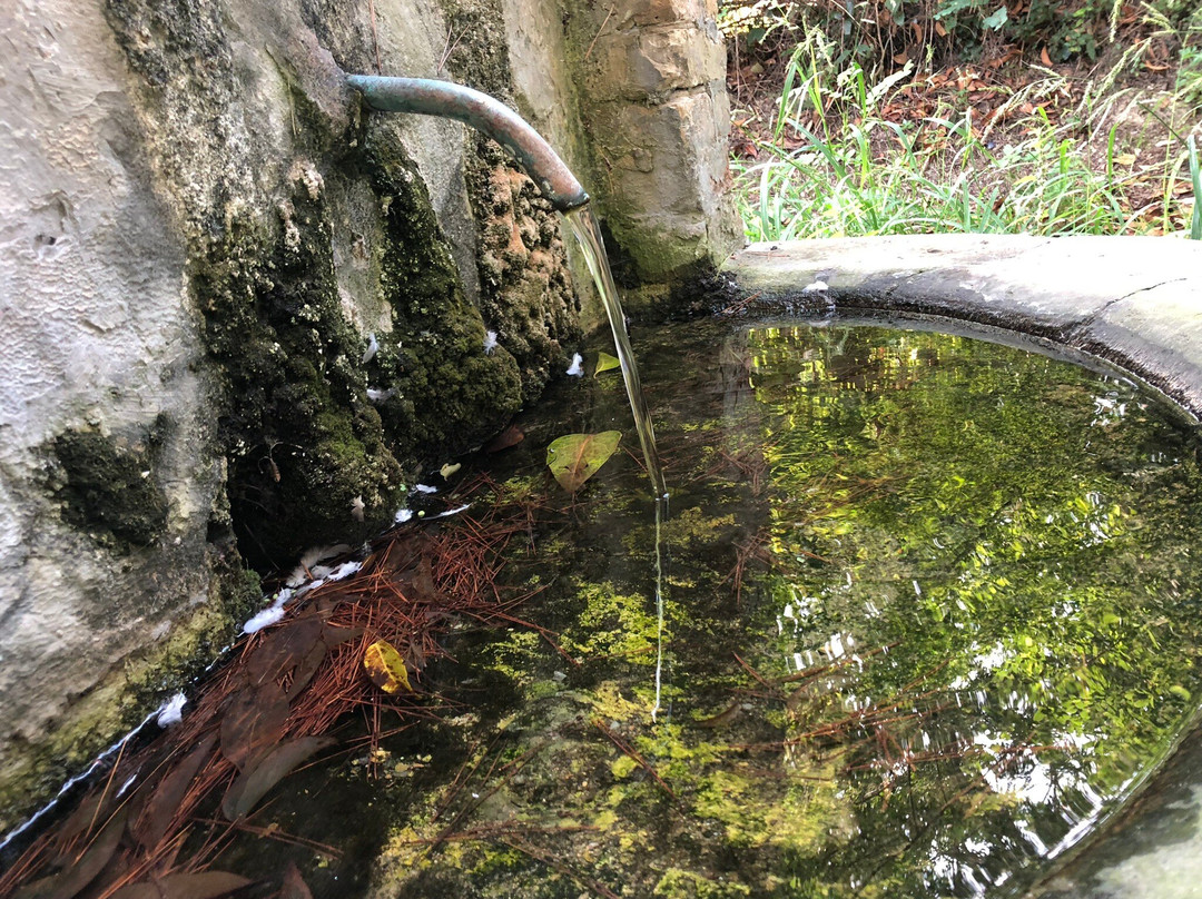 La Antica Fonte Romana-Cologna Paese必去景点