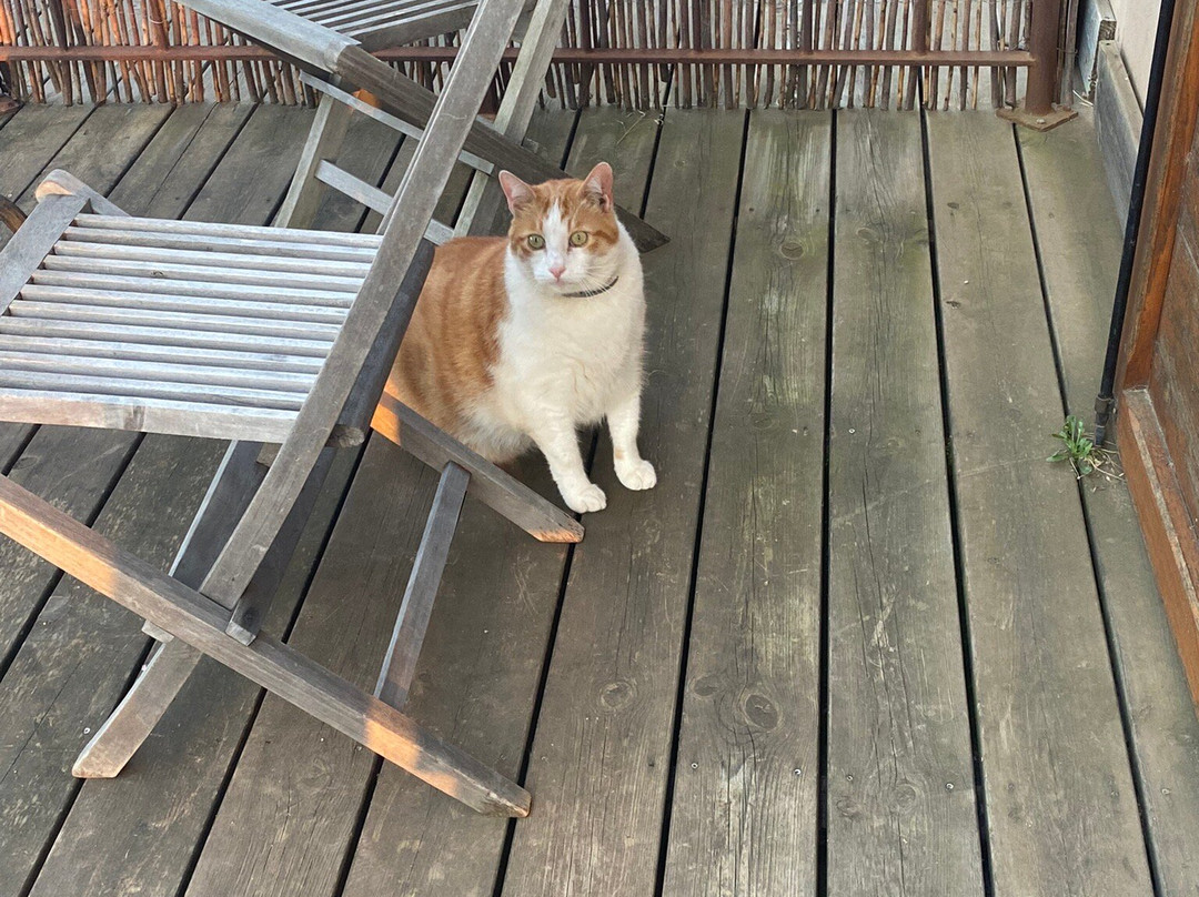 Ferme De Roccapina主图