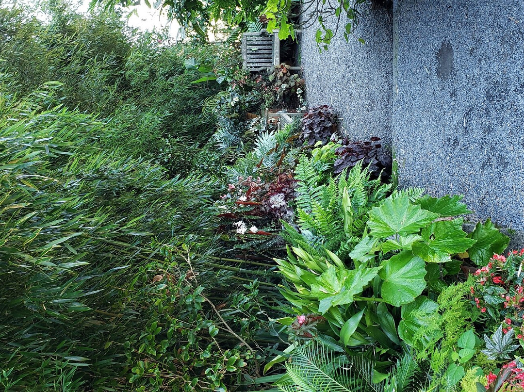 Blithewold Mansion, Gardens & Arboretum-布里斯托尔必去景点