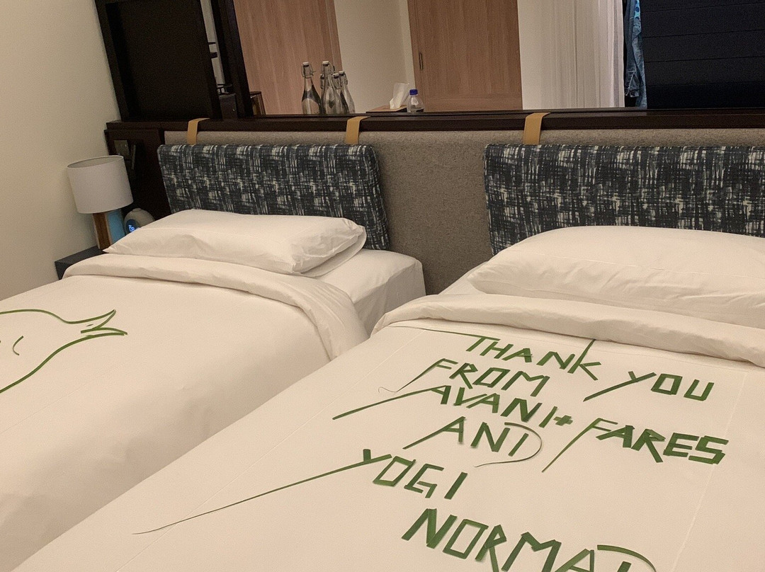 Yogi Nomads-Dbayeh必去景点