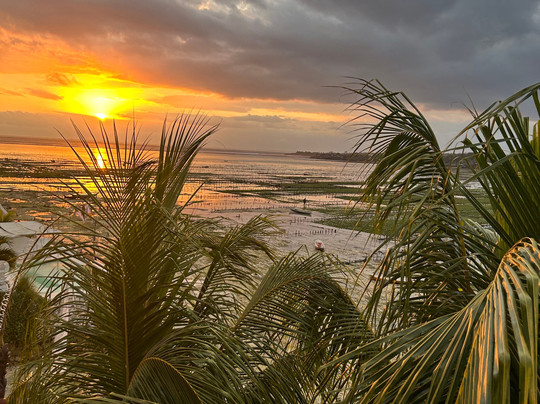 Aurora Beach View主图