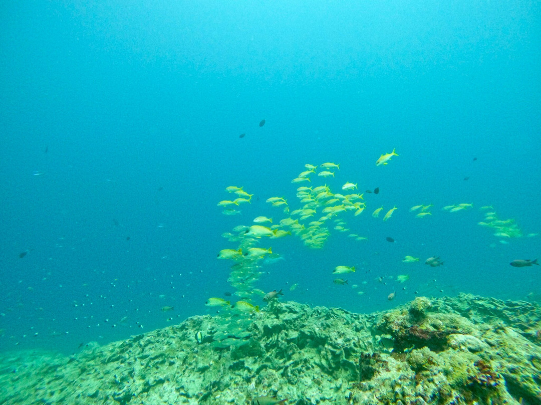Zanziocean Dive Centre-Pwani Mchangani必去景点