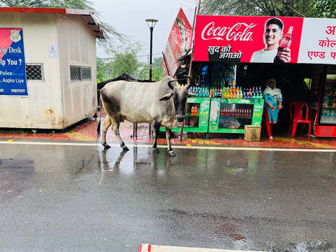 Jindal Tours-阿格拉必去景点