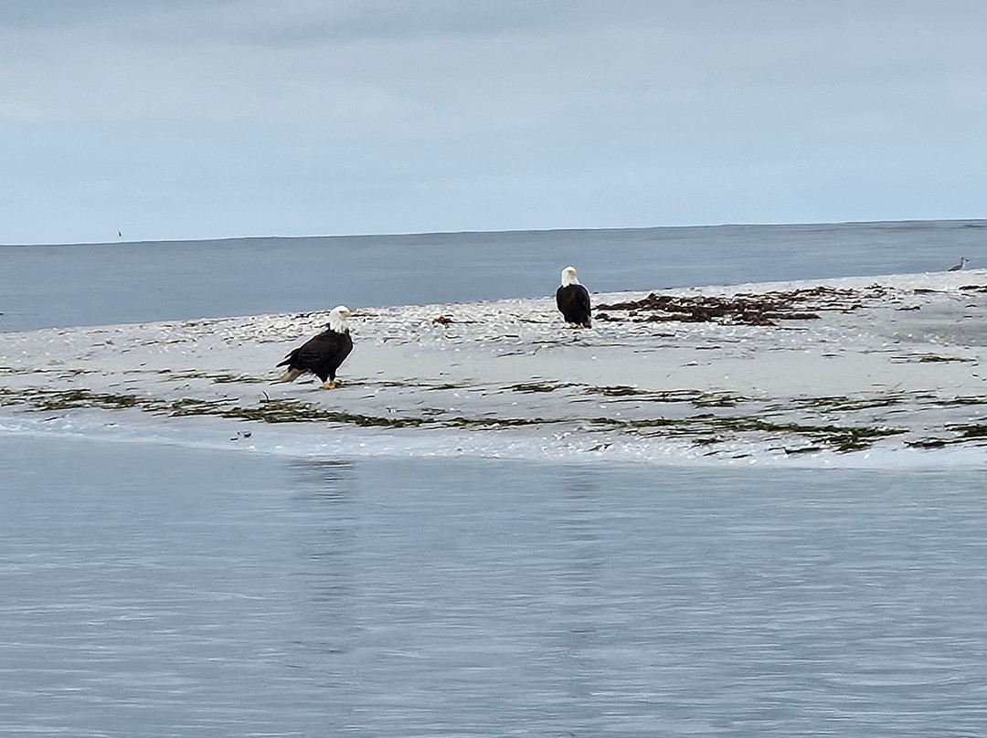 Blake Tours-Cape Haze必去景点