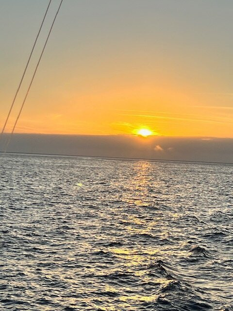 Madeira Marlin Charters-卡列塔必去景点