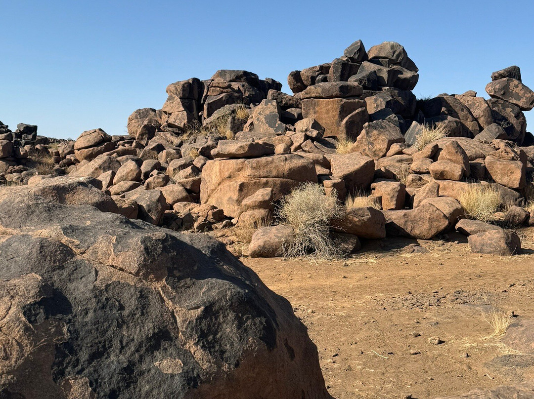 Quivertree Forest and Giant's Playground景点图片
