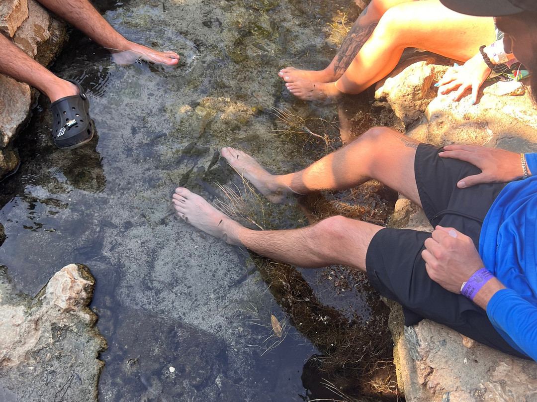 Madagascar Aruba Adventures-奥腊涅斯塔德必去景点