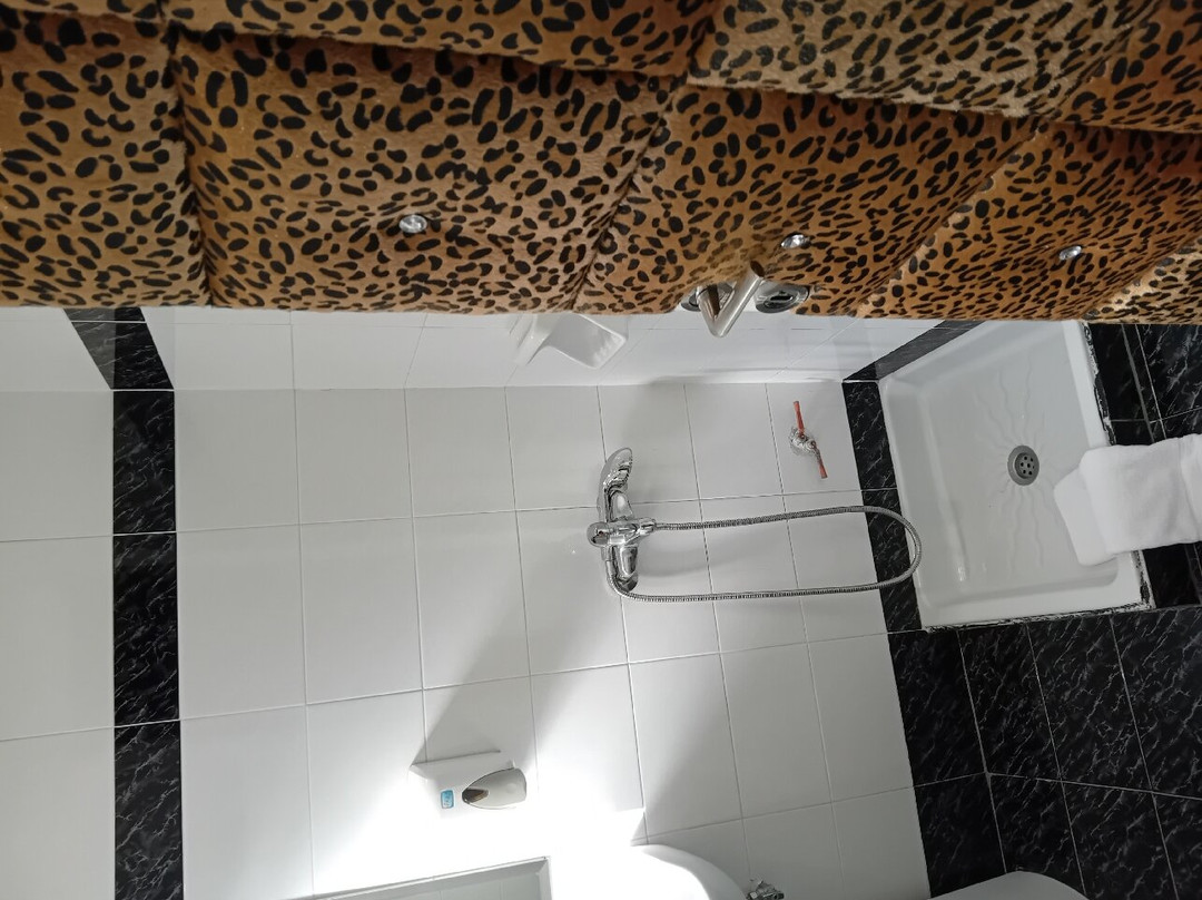 Xcite Hotel Lida主图