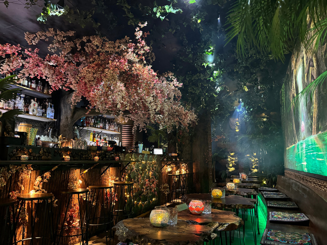 Baby Dragon Bar Newtown