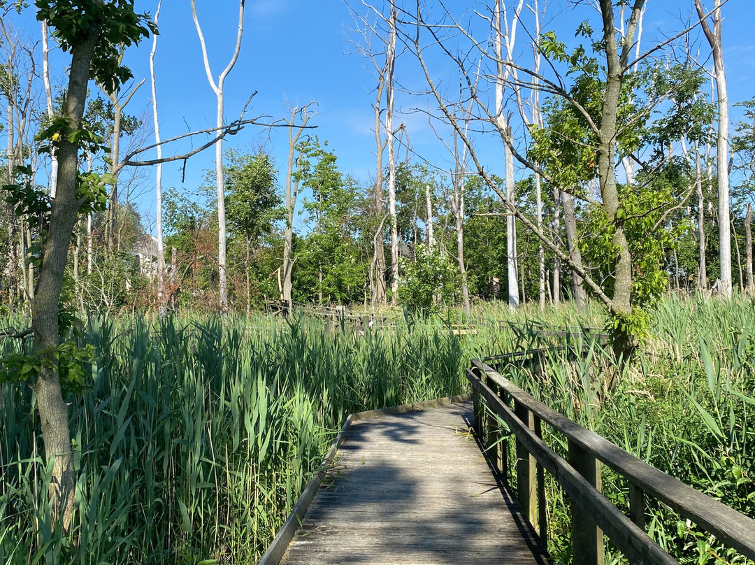Maumee Bay State Park-Oregon必去景点