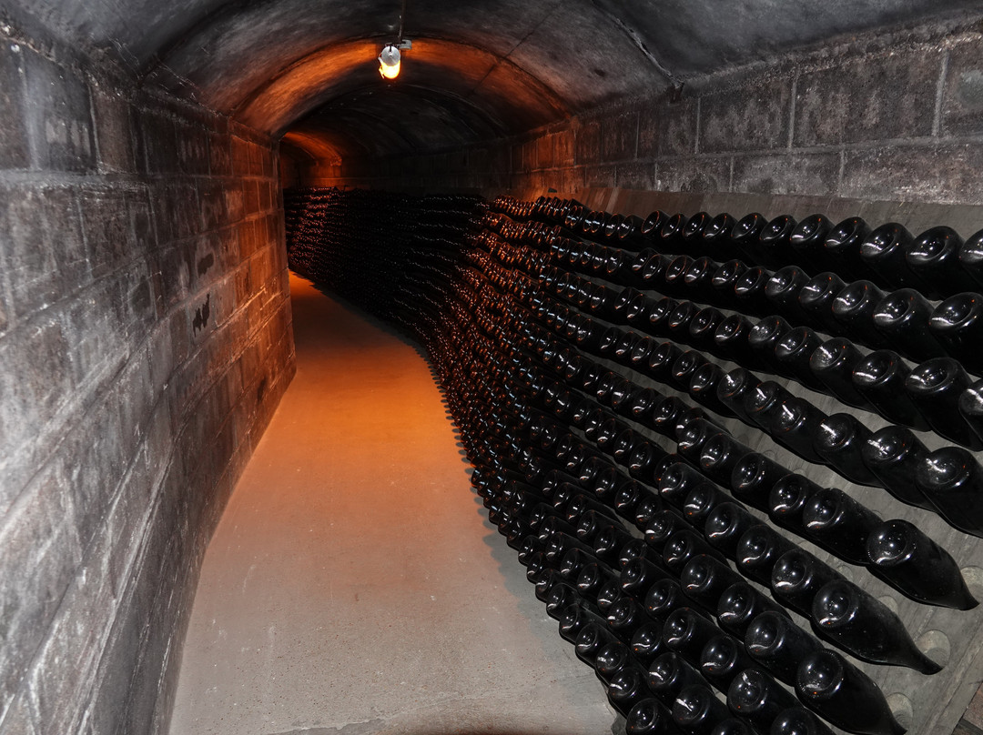 Champagne Borel Lucas景点图片