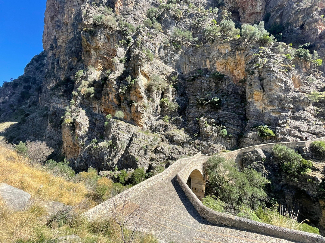 Il Ponte Del Diavolo景点图片