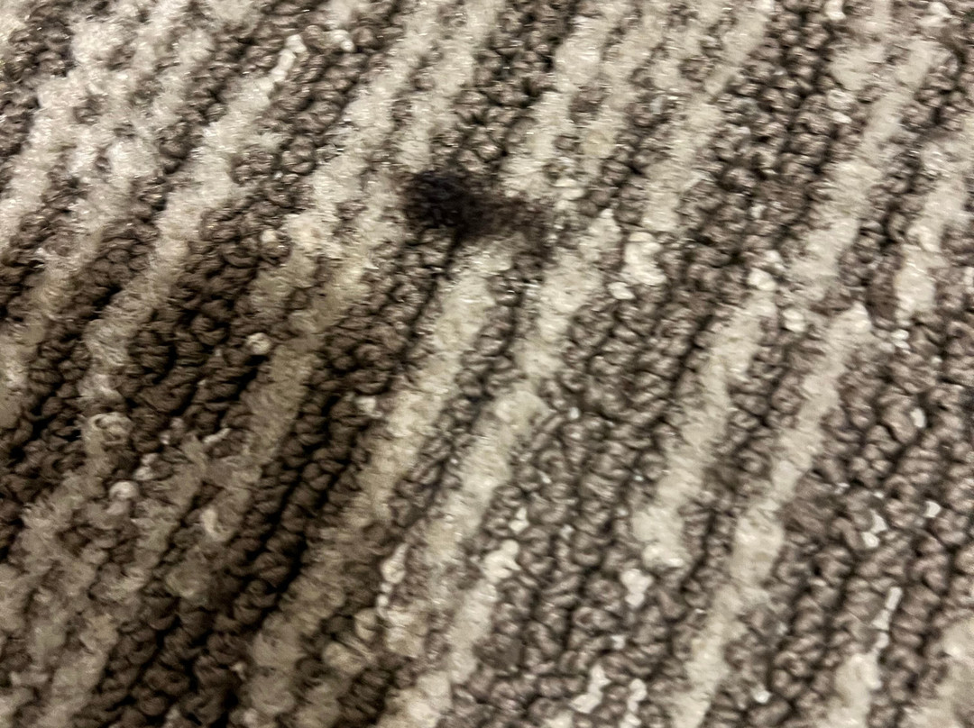 奥本山希尔顿套房酒店主图