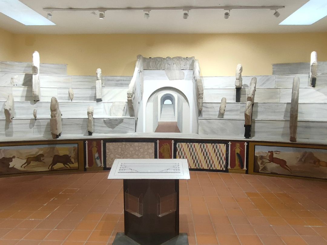 Museo dei Gladiatori景点图片