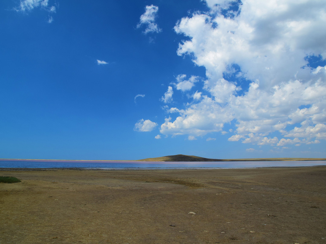 Opukskiy Nature Reserve景点图片