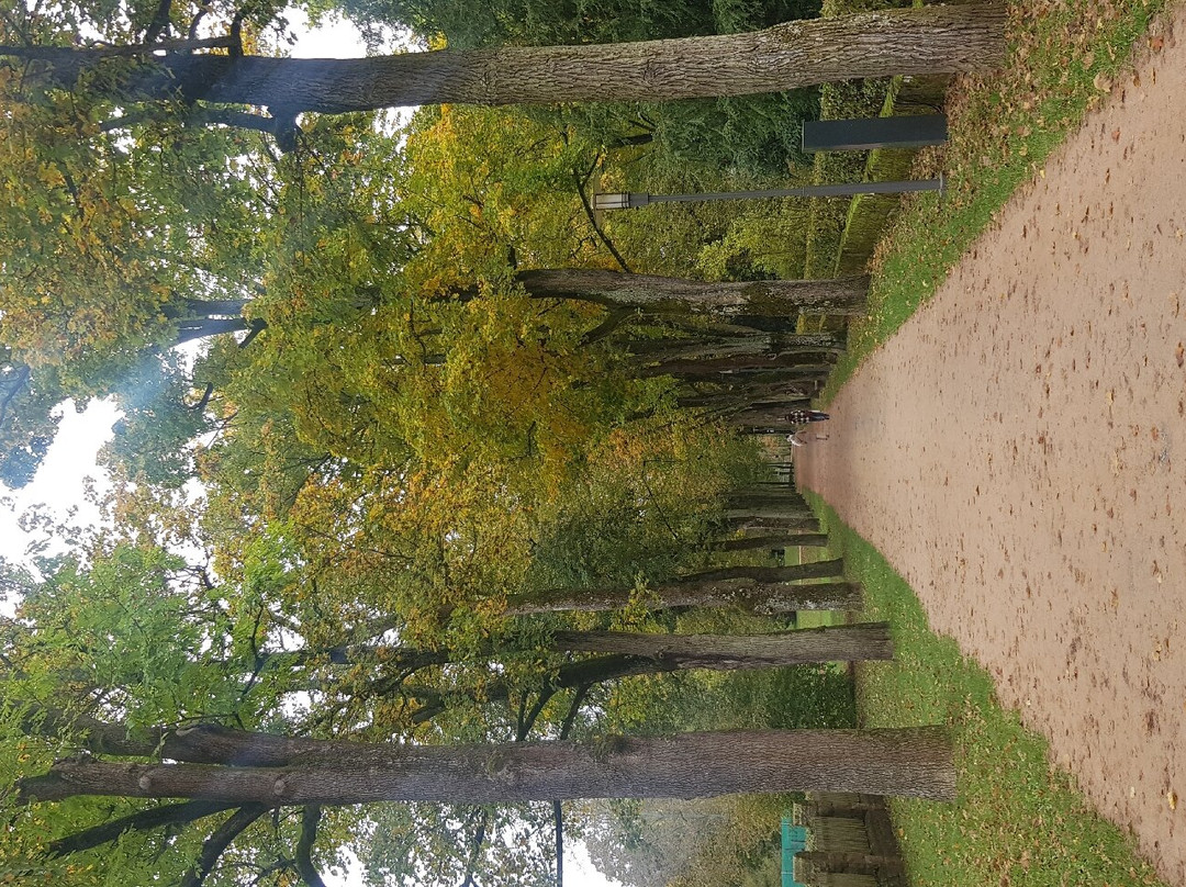 Laudensacks Parkhotel & Retreat主图