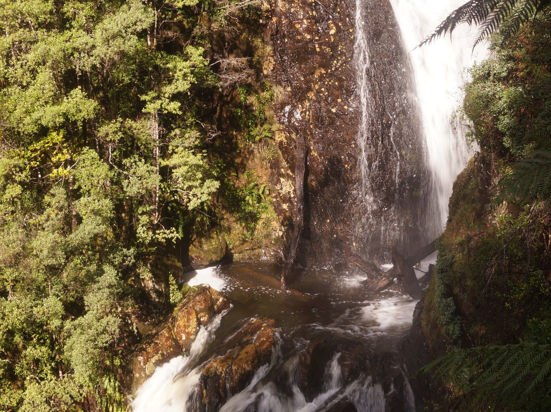 Philosopher Falls-Waratah必去景点