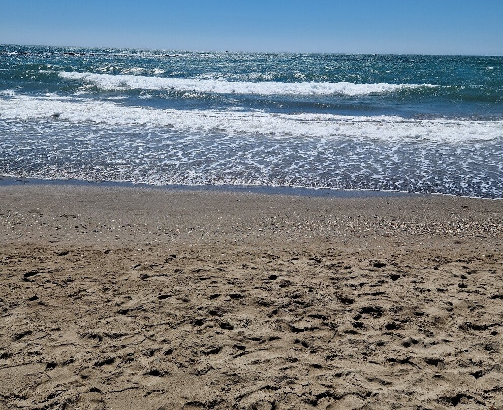 Praia da Coelha景点图片