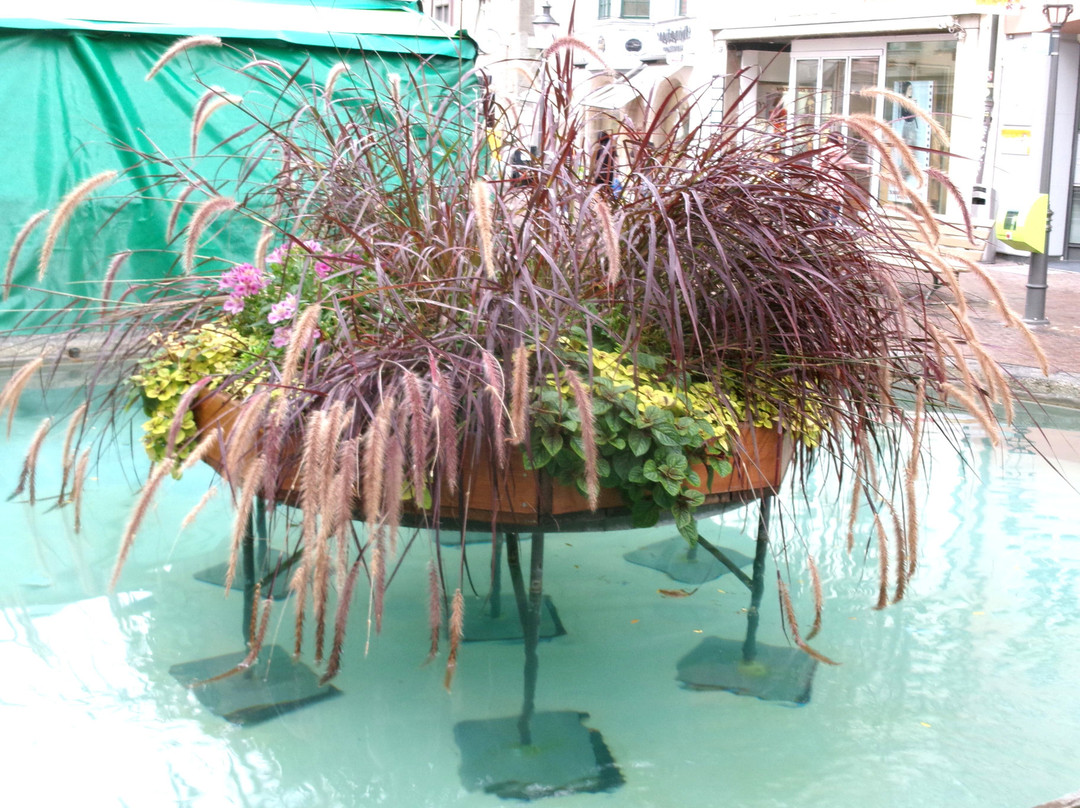 Mohrenbrunnen-沙夫豪森必去景点