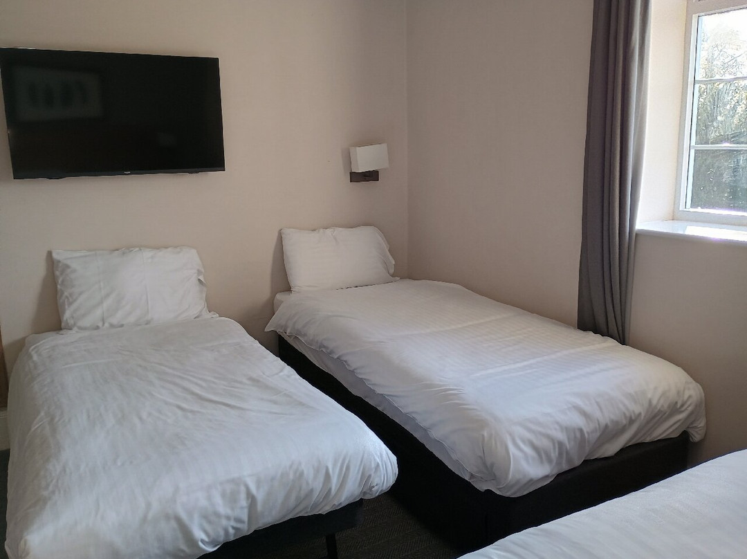 The Owl Hotel主图