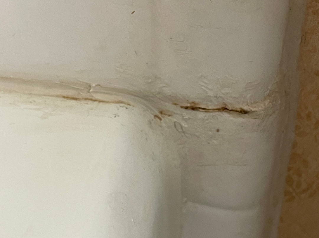 Best Western Plus Placerville Inn主图