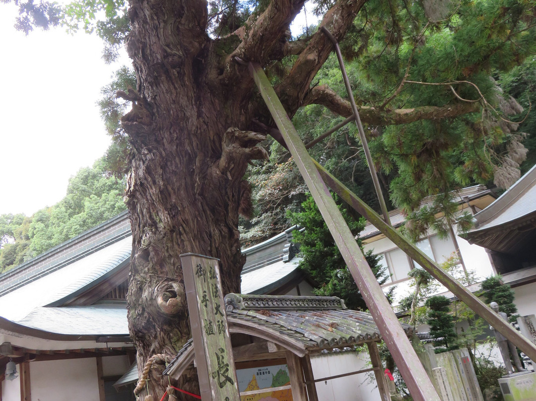Gokurakuji Temple-鸣门市必去景点