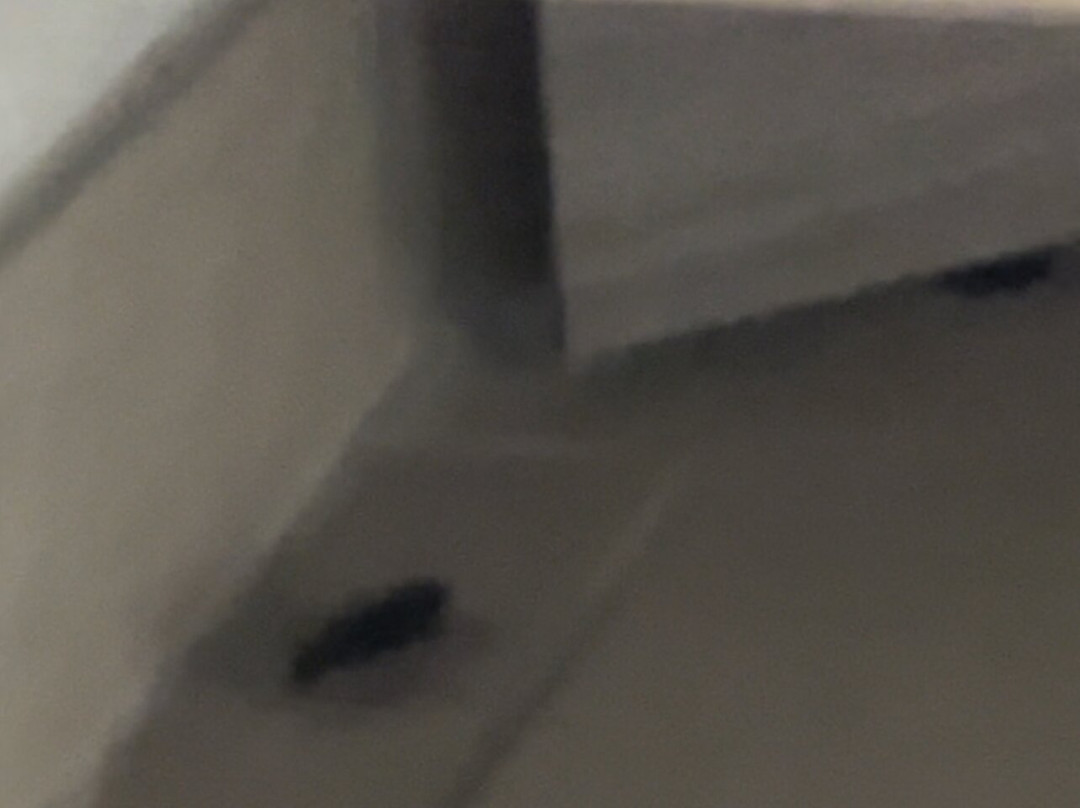 伯灵顿智选假日酒店主图