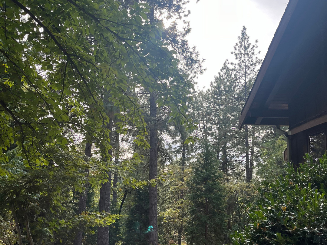 Ponderosa Ridge A Bed and Breakfast主图