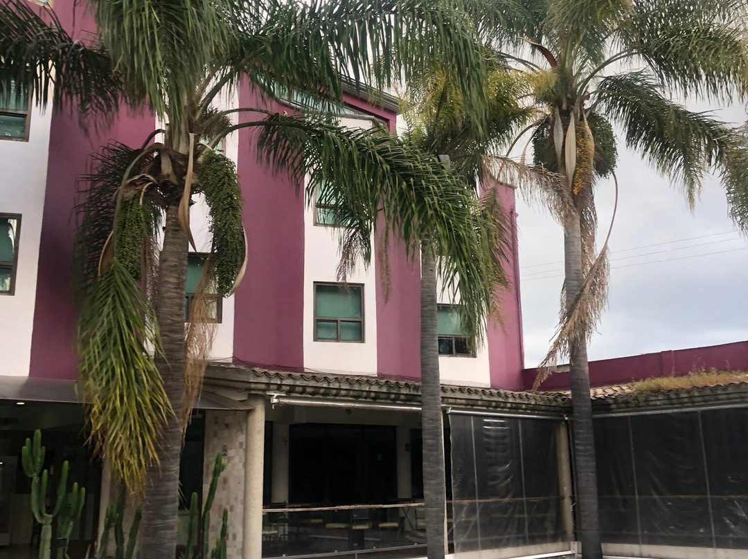 Collection O Las Iglesias, Cholula主图