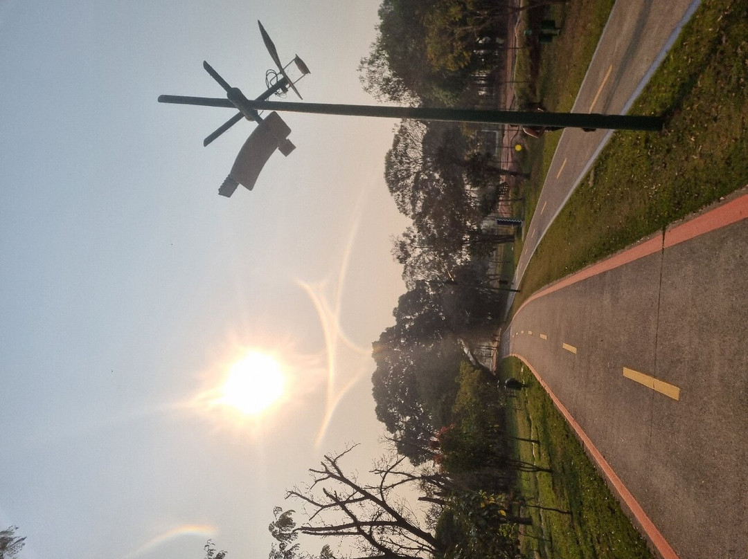 Parque Da Cidade-容迪亚伊必去景点