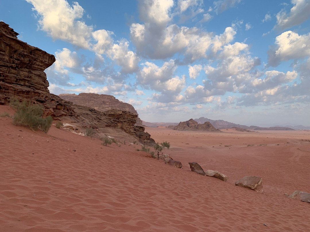 Rum Royal Flower Luxury Camp