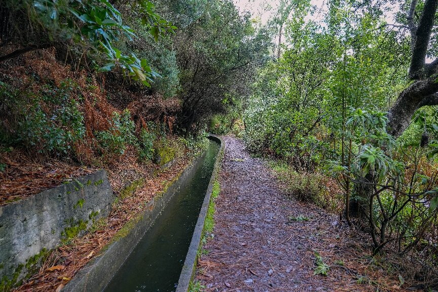 PR16 Levada Fajã do Rodrigues-Sao Vicente必去景点