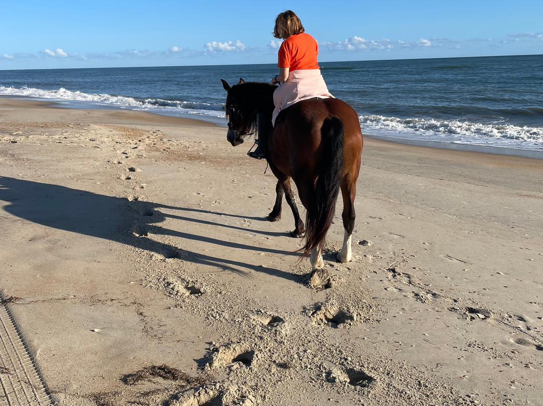 Equine Adventures景点图片