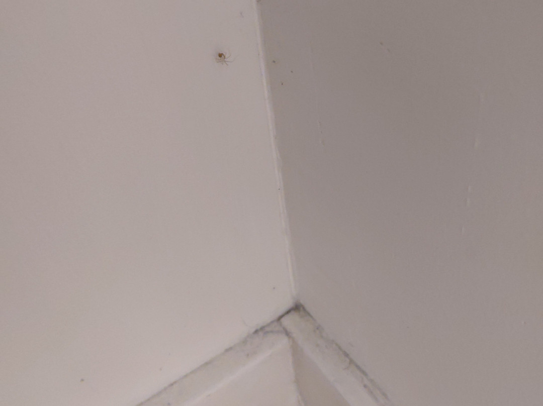 Hotel Eden Park by Brava Hoteles主图