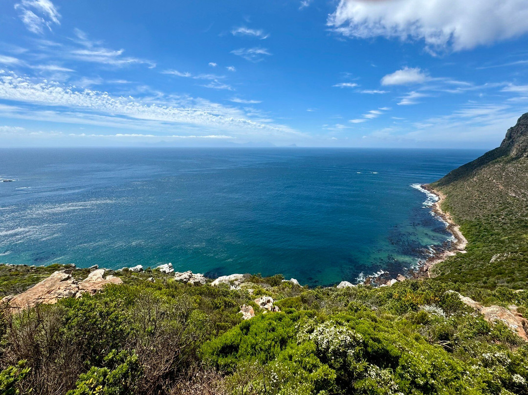 Alfies Adventures-Cape Point必去景点