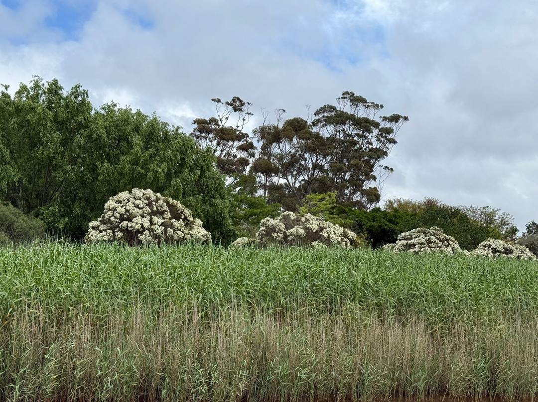 Stanford River Cruises Lady Stanford-斯坦福必去景点